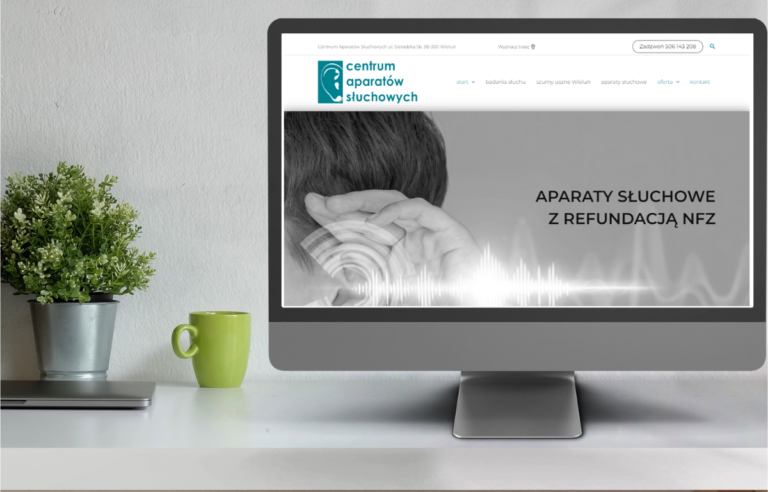 informatyk wielun