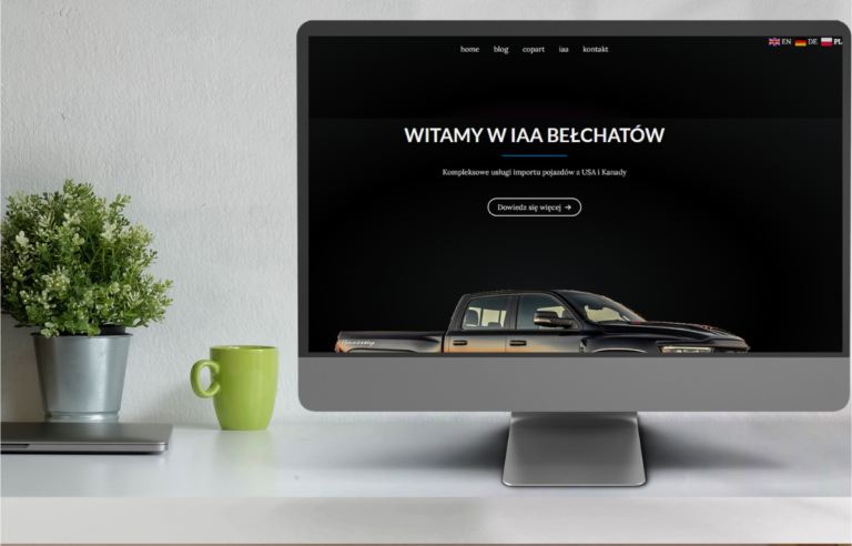 zakladanie stron internetowych wielun